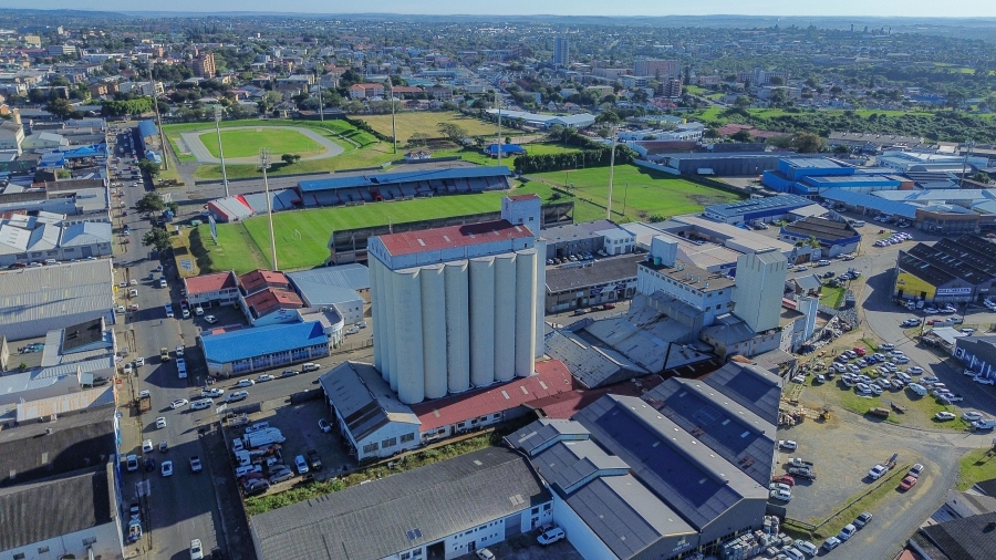 Commercial Property for Sale in Arcadia Eastern Cape